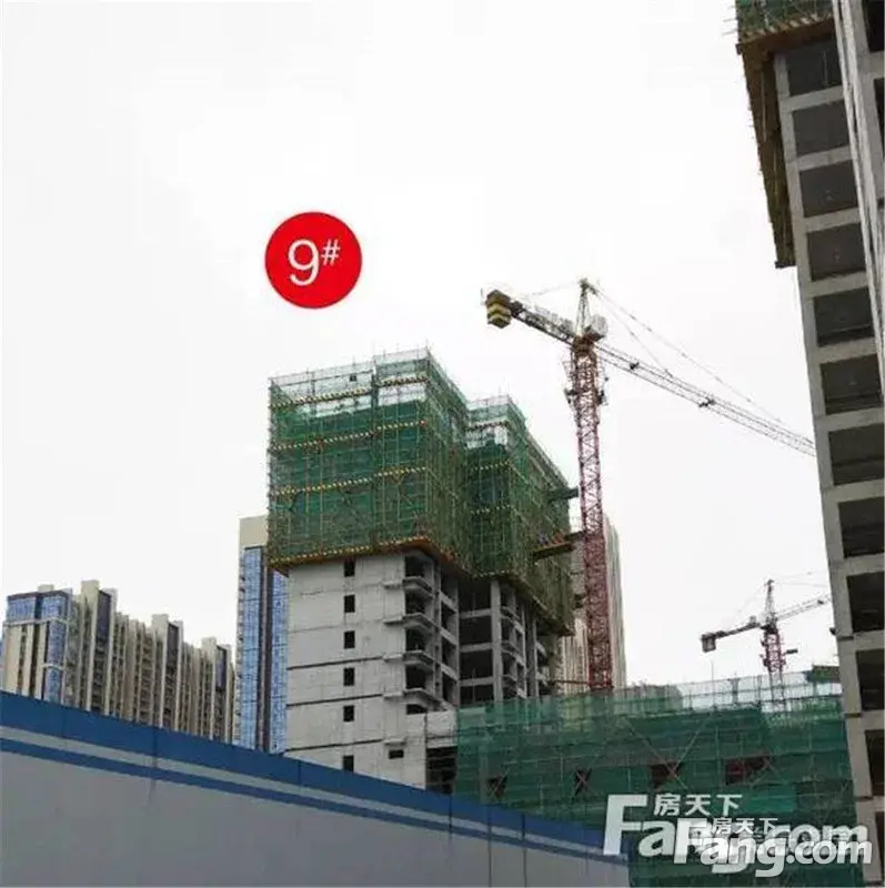 ӱ 40