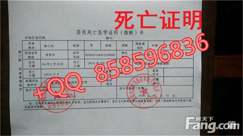 哈尔滨市\/长春市\/沈阳市\/郑州市\/石家庄市办死亡