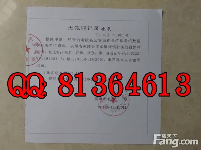 湖北省汉川市无犯罪记录证明样版
