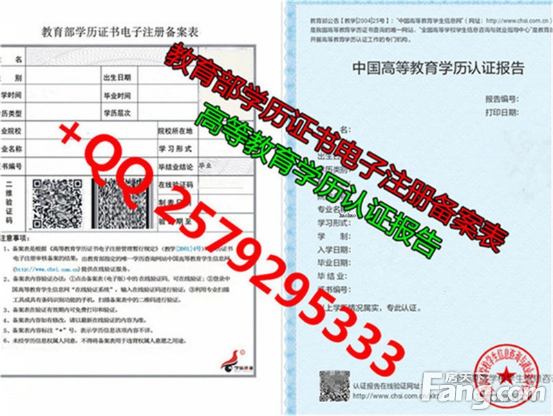 广东省广州市教育部学历证书 电子注册备案表