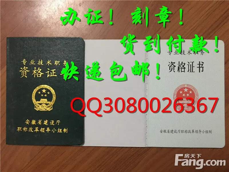 山东省 济南市 青岛市 淄博市 枣庄市专业技术职