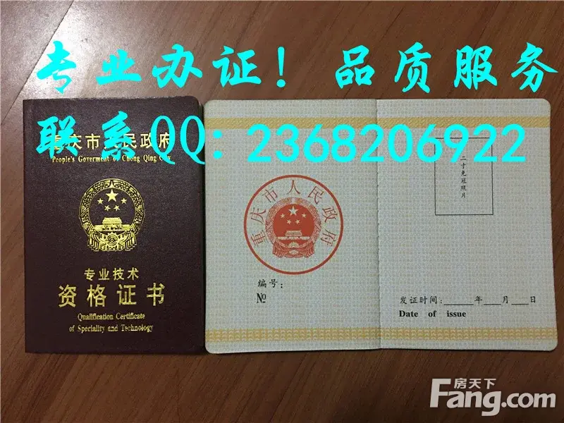 山东省 济南市 青岛市 淄博市 枣庄市专业技术职