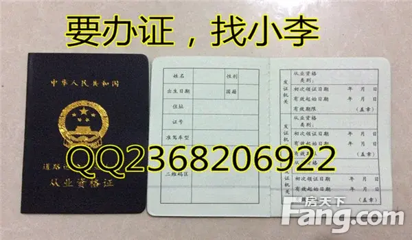 枣庄市、东营市、烟台市、潍坊市、济宁市道路