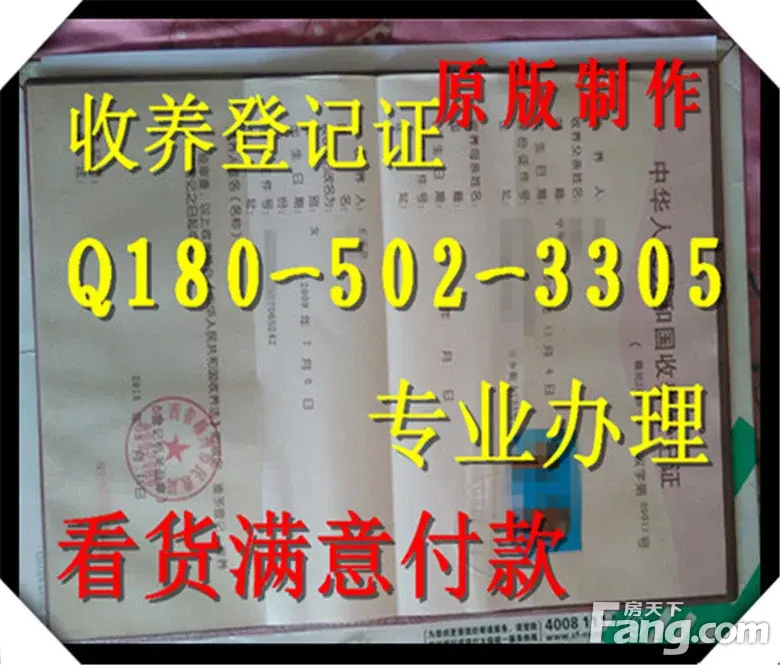 广东省通关登记证深圳市韶关市东莞市中山市恐怖老奶奶游戏完美收养真人版图片