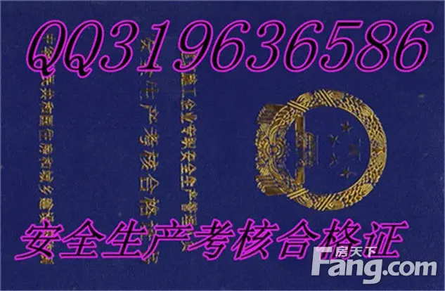 P-S上海浙江山东 安全员B证 安全生产考核证书