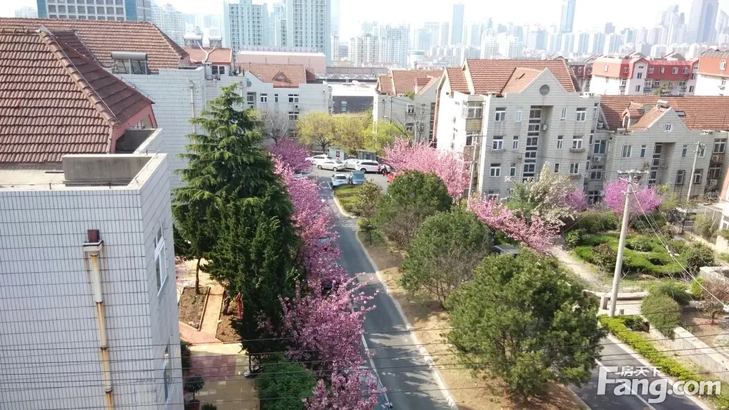 天台山庄二手房实景图