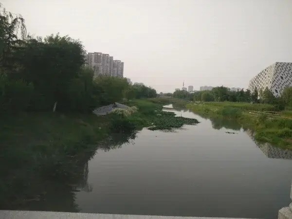 ˵һ˵ͥλ