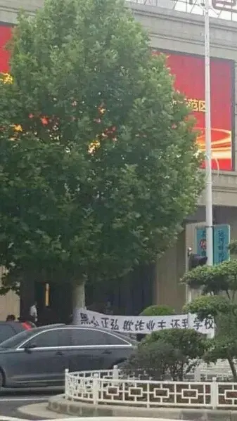 뷿ڵ