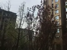 薇澜岸江景房 内圈安静龙湖品质