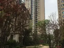 大竹林江景房,龙湖高品质精装三房,楼层,视野采光好