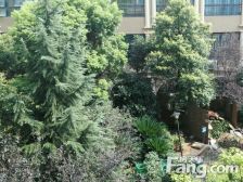 小区环境优美,人车分流,近江边,出门就是地铁....