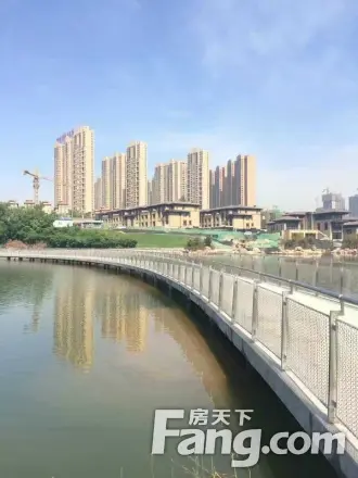 绿地与湖