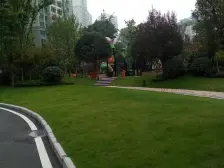 恒大帝景 3室2厅 北 南