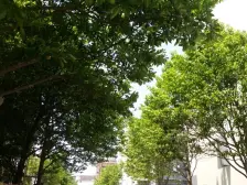 带55平1楼花园 可做车库 刚需出价群体 小区总价低
