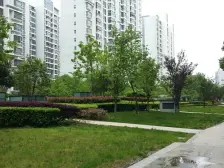 运营总主推+店总主推+新场主推+改善霸主