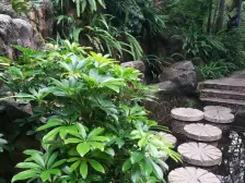 南北通透大四房高楼层看湖视野好