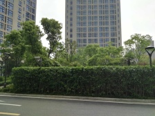 品质小区 景观房 诚心出售 价格可谈