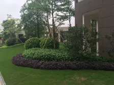 虎门南部湾万科城大四房 诚心出售