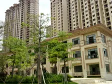 房子南向看小区花园视野好格局方正