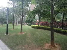 万科金域蓝湾 2室2厅 西南