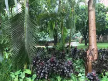 未来世界精装三房 复式住宅 实用性高 业主诚意出售