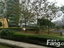 人民公园旁光大物业 4房2厅 诚意出售