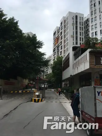 泽科兴城