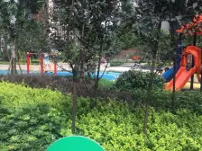 石坪桥 正规两房 拎包入住 采光好