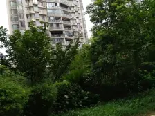 恒茂国际华城 南北通透,采光好 装修好,环镜优美 近地铁 中间楼层