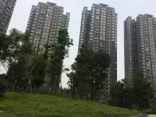 锦东庭园 2室1厅 北