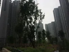 锦东庭园 3室1厅 西南 西北