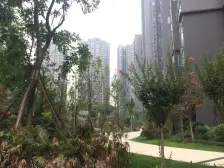 锦东庭园 2室1厅 南