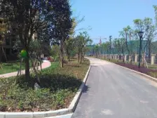 嘉陵春和景明99号 2室1厅 南