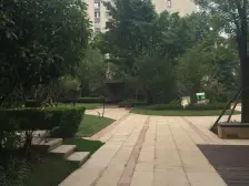 龙湖花千树3+1户型,视野也好采光不错