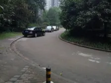 佣金3666元 西区 金色池塘四房98万