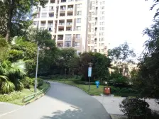 佣金6666元 西区 泽科港城国际四房112万