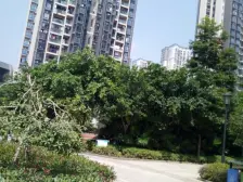 西区 桂馥家园二房52万