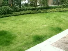 朝南、朝小区安静、轻轨房、端户