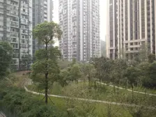 2号线轻轨两房,户型方正,住家方便,配套成熟