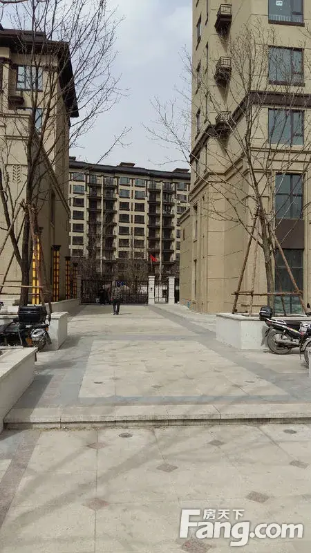 回复和煦近况,拍照技术超级烂-新星宇和煦业主论坛- 长春房天下