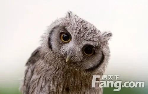 newhouse44805293的点评