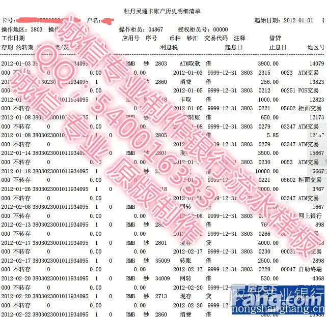 银行流水样板图片