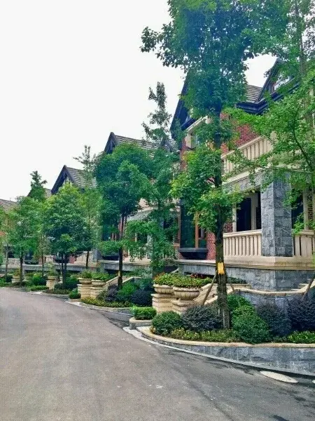 成都牧马山农场庄园别墅,6000平米超大花园,江景独栋