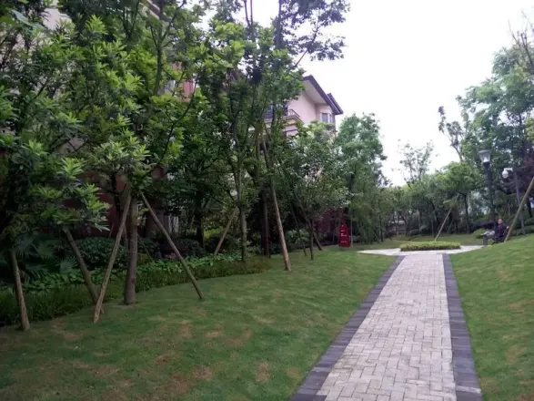 金隅南山郡御澜院实景图