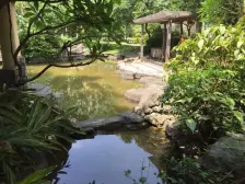 樟木头 碧河花园 3室2厅