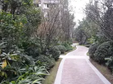 翠微堤内圈大中庭水景 地下室全采光奢装2个人小证在手