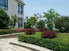 一线湖景房,楼层好,采光好出行方便