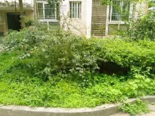 茶园精装两一房 拎包入住 全款房 产权清晰 近轻轨