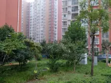 白沙精致三室两厅一厨一卫 采光好 户型方正 中间楼层