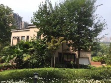 公园里的墅区洋房 临湖安静 出行方便